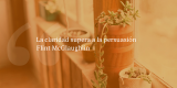 Frases de inbound marketing – Flint McGlaughlin – La claridad supera a la persuasión