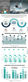 [Infografía] Estadísticas sobre las tasas de apertura del Email Marketing