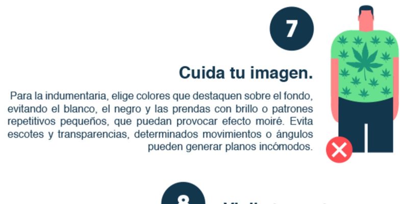 [Infografía] Consejos para las entrevistas de trabajo online