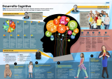 [Infografía] Etapas del Desarrollo Cognitivo