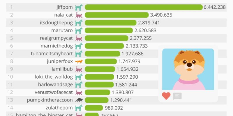 [Infografía] Cuentas de mascotas con más seguidores en Instagram