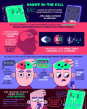 [Infografía] ¿A veces tienes la sensación de que tu movil ha sonado y es mentira?